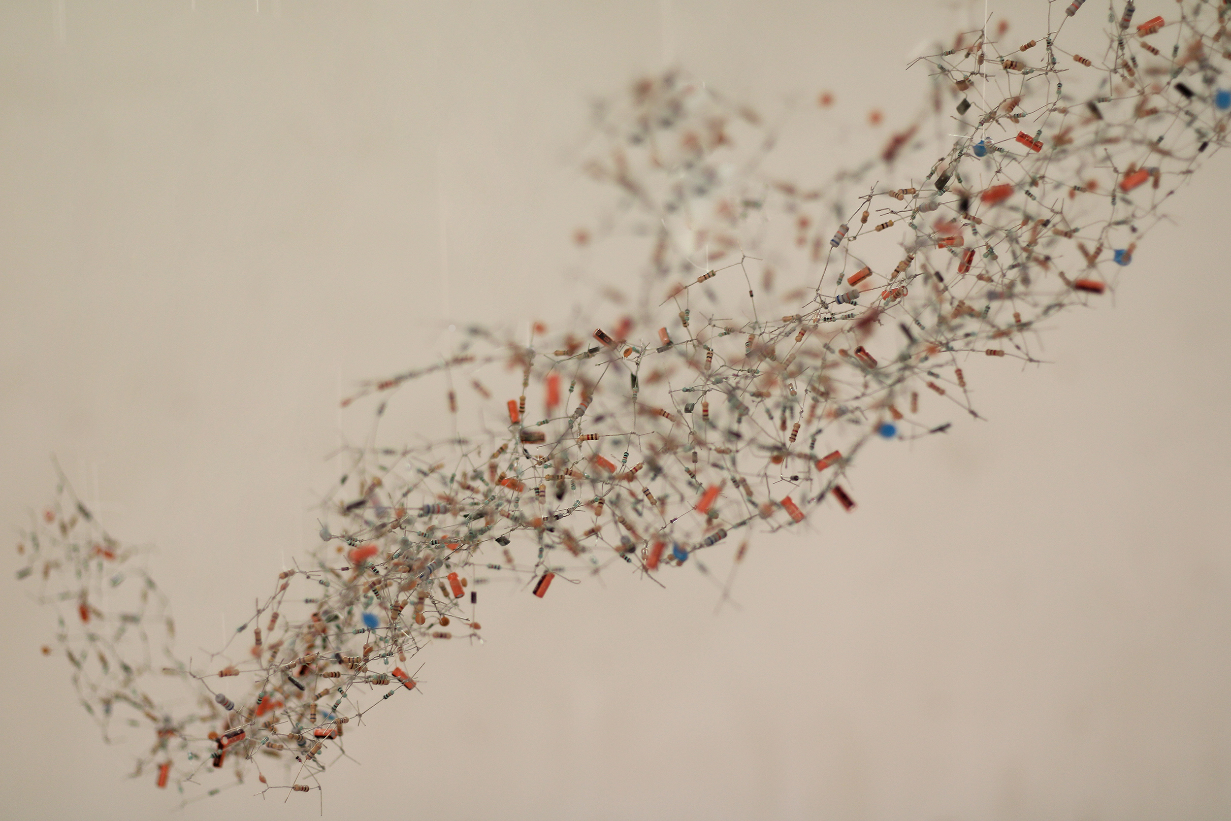 Starling detail three